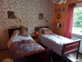 Vaskio-bed, Salo